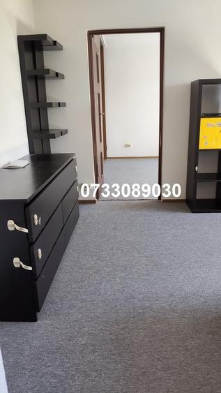 Drumul Taberei Apartament 2 camere semidecomandat, (Str. Segarcea) - 11