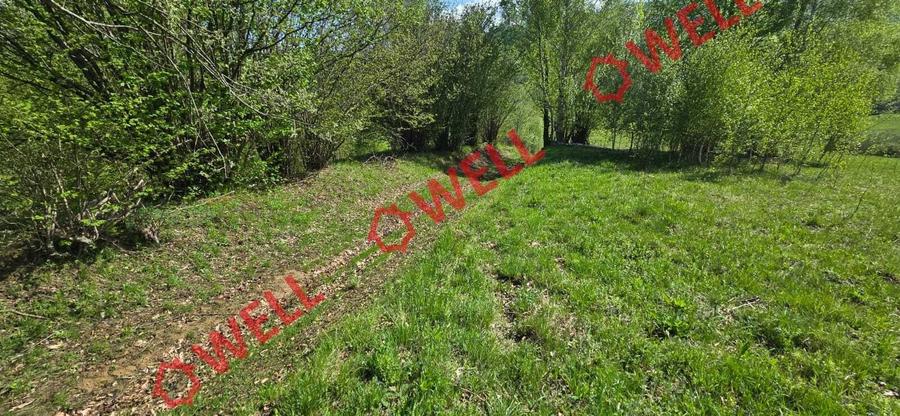 Teren agricol extravilan de 1740 mp, în Vama Buzăului