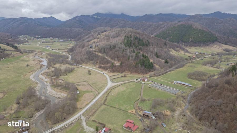 Teren de 6900 mp, în Plaiul Foii