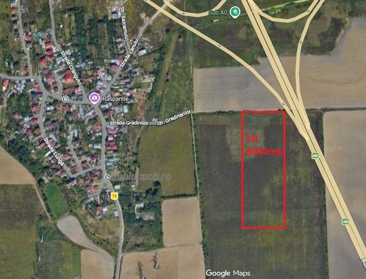 Teren agricol extravilan de 8000 mp, în Manolache