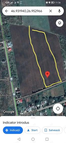 Teren de 5800 mp, în Central