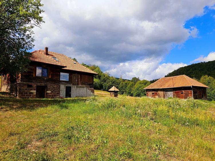 Casă cu 4 camere în Negreni