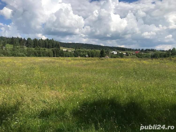 Teren de 10000 mp, în Șaru Dornei