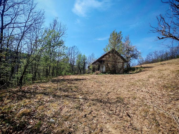 Teren de 55000 mp, în Bârzava