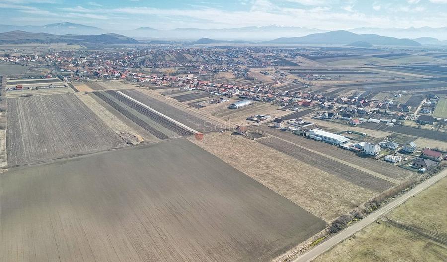 Teren Construcții extravilan de 14200 mp, în Bod
