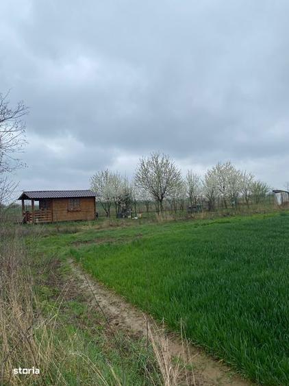 Teren de 5000 mp, în Lazuri