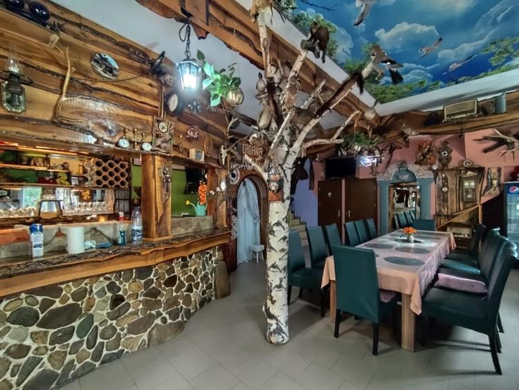 Casă individuală cu 10 camere cu Piscina în Strungari