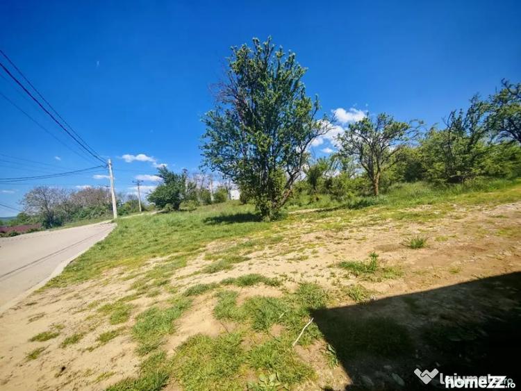 Teren în Central