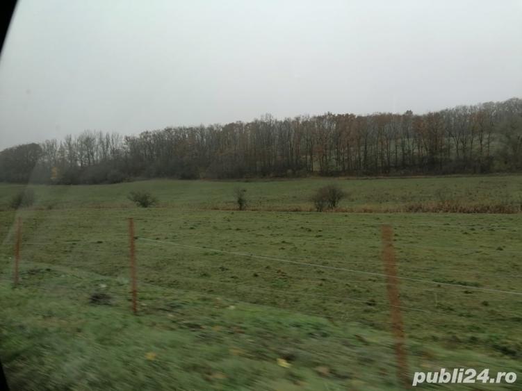 Teren în Viișoara
