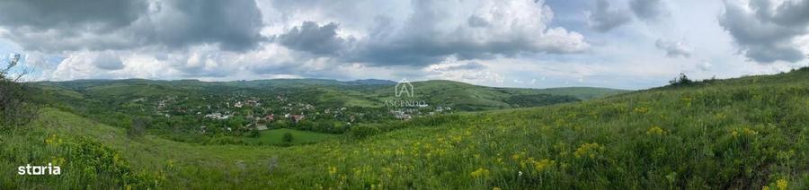 Teren de 15900 mp, în Năeni