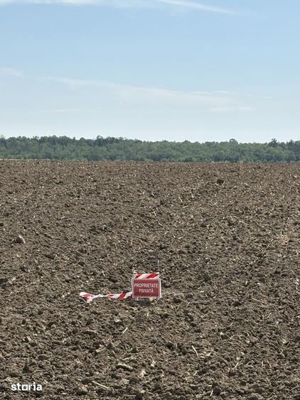 Parcela teren de 494 mp, acces u?or , la 35 km de Bucuresti - 3
