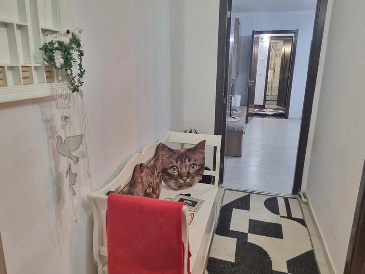 Apartament cu 2 camere decomandat în Rovine