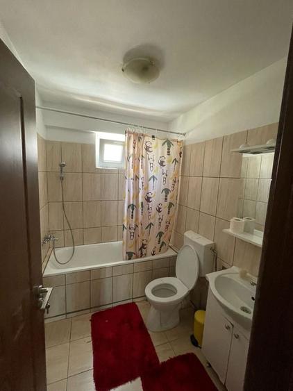 Apartament cu 2 camere decomandat în Craiovița Nouă