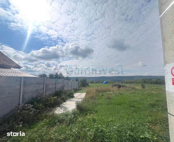 Teren de 3250 mp, în Betfia