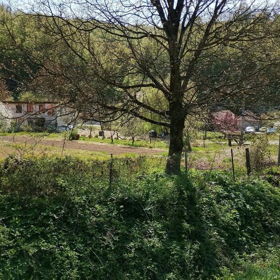 Teren de 745 mp, în Moneasa