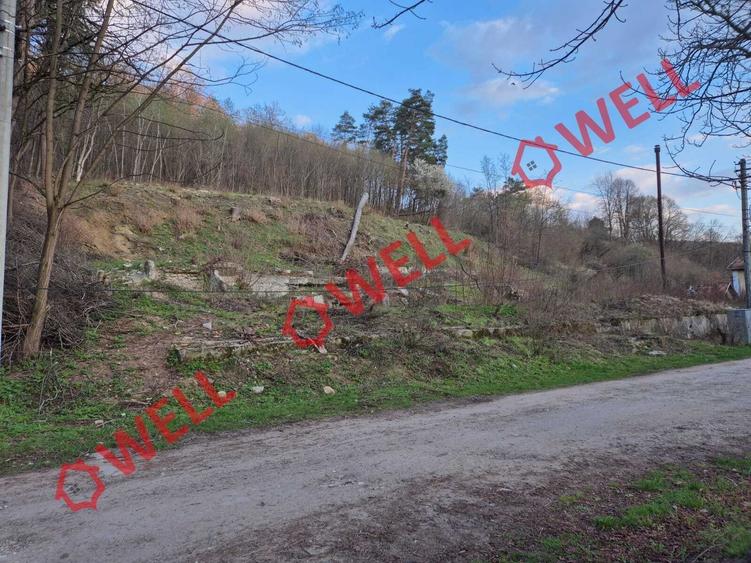 Teren Construcții intravilan de 2642 mp, în Vâlcele