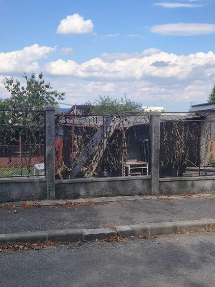 Casă cu 2 camere cu Teren 420 Mp în Calea Turzii
