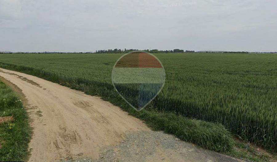 Teren agricol intravilan de 1455 mp, în Dragomirești-Vale