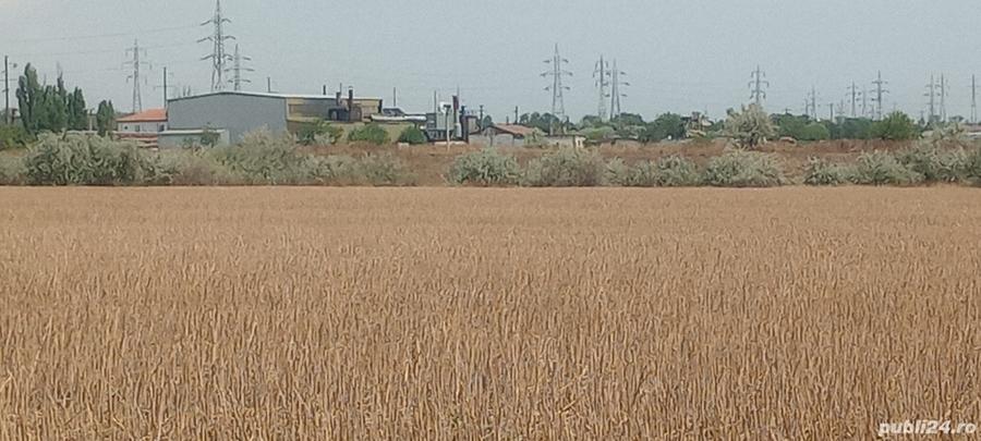 Teren de 8400 mp, în Sud