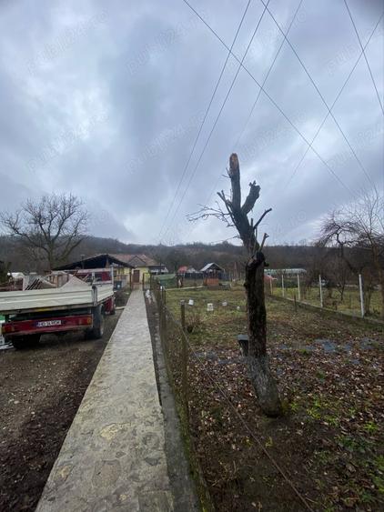 Vand casa in Pestisu Mic - 5