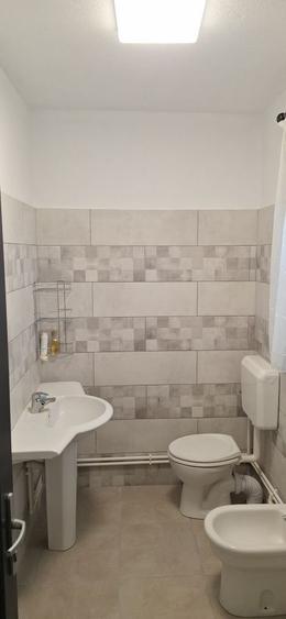 Casă cu 3 camere cu Teren 1317 Mp în Ciocănești