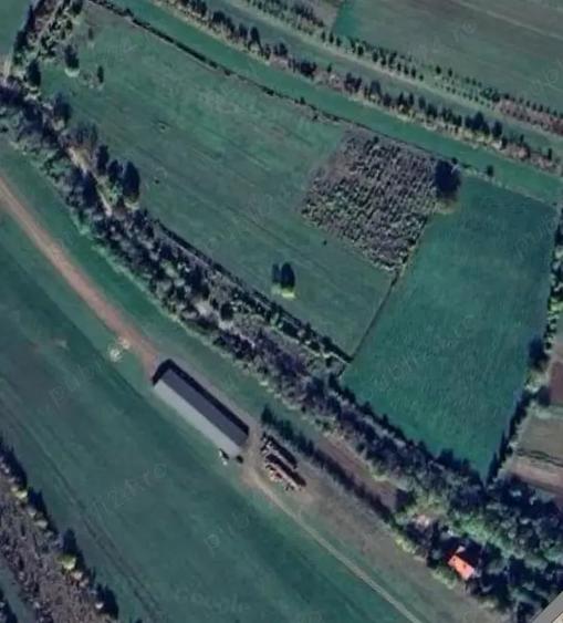 Teren de 6000 mp, în Colțești