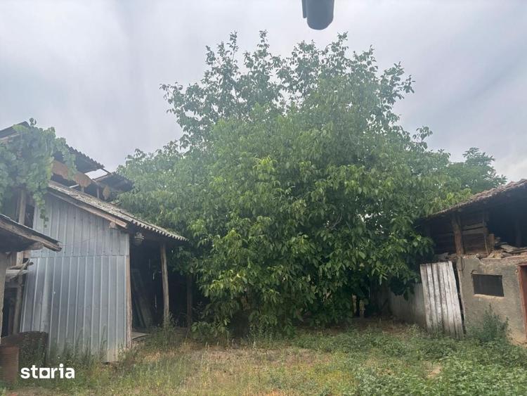URGENT CASA renovata, 2023 mp teren, LA PRET DE GARSONIERA !!! com LEU - 12