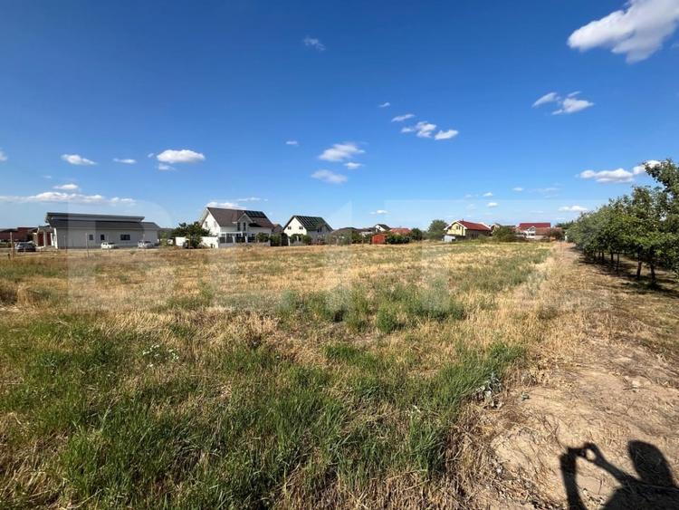 Teren Construcții intravilan de 1150 mp, în Cihei