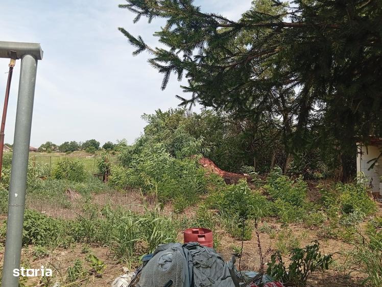 Casă cu 7 camere cu Teren 4500 Mp în Iratoșu