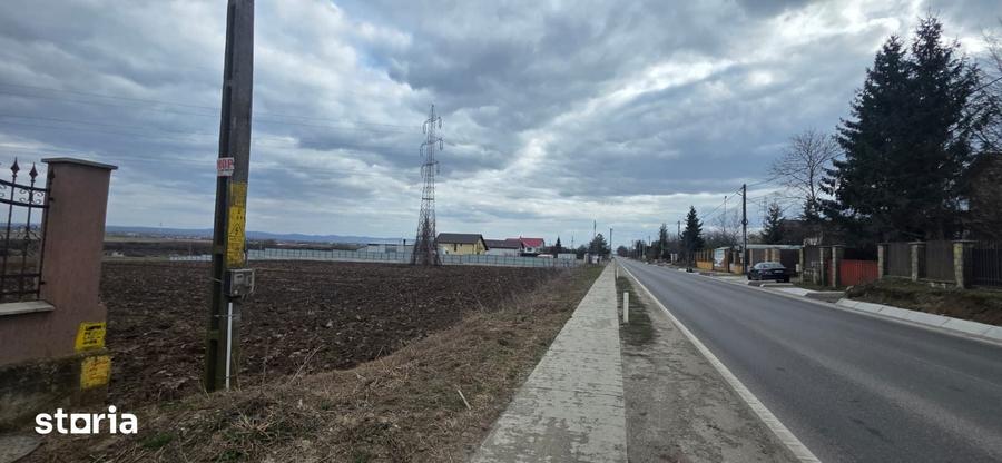 Teren de 6200 mp, în Hemeiuș