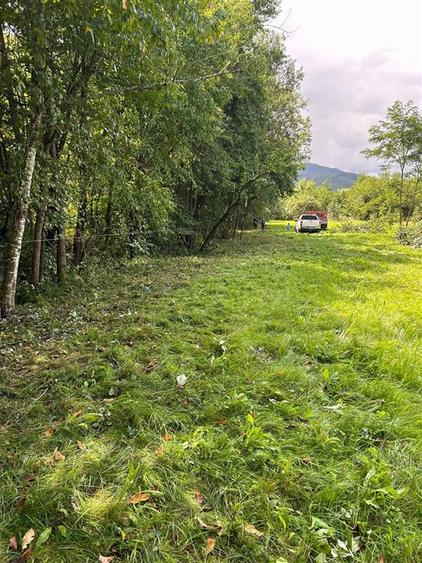 Teren Construcții intravilan de 3200 mp, în Dejani