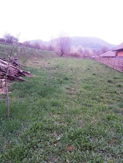 Teren Construcții intravilan de 2000 mp, în Vest