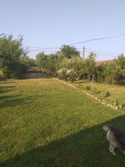 Casa de vanzare  - 2