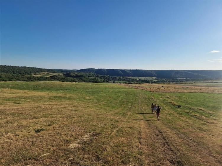 Teren Construcții intravilan de 13234 mp, în Betfia