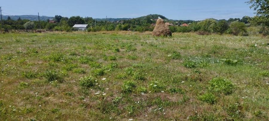 Teren de 650 mp, în Frâncești