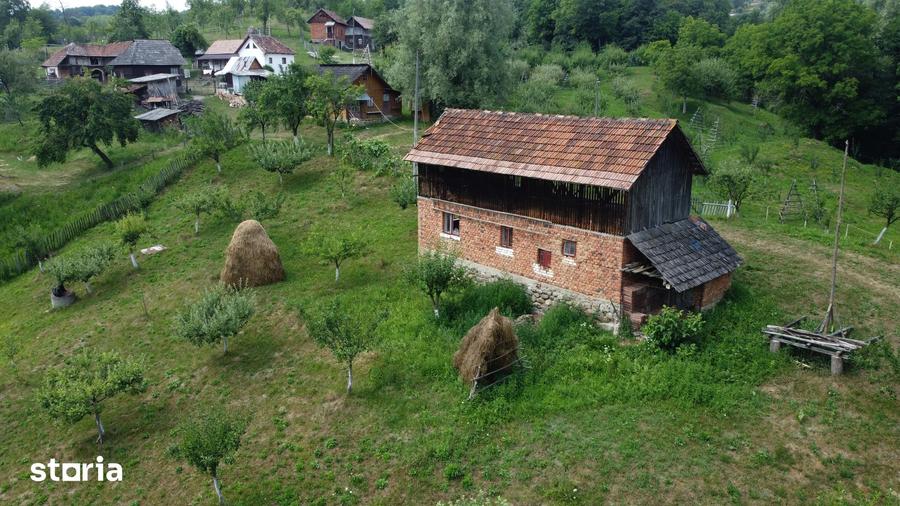 Teren de 6200 mp, în Cicănești