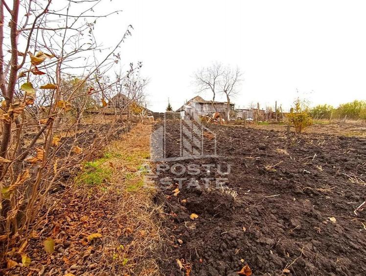 Casă cu 4 camere cu Teren 996 Mp în Dudeștii Noi