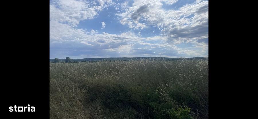 Teren de 4700 mp, în Mofleni