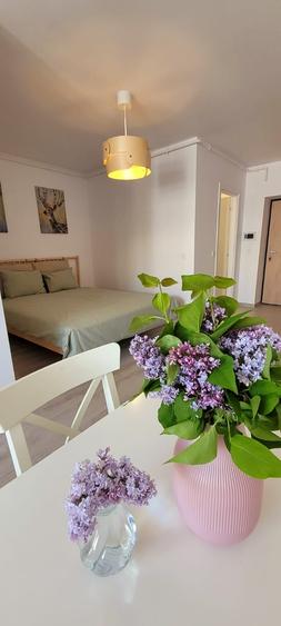 Garsoniera | Hils Pallady | Loc parcare | Centrala | Balcon | Metrou - 4