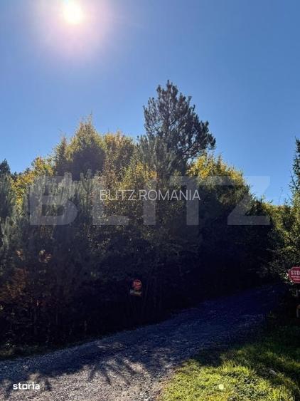 Teren intravilan, 2.000 mp, zona Geamana - Codlea
