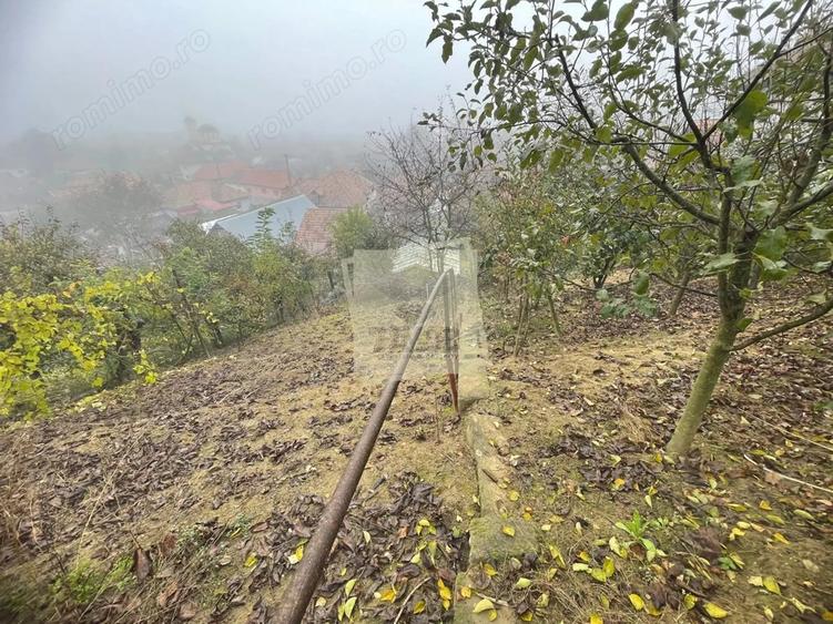 Casa individuala cu 6 camere si 3 bai si 1413 mp teren in Blaj - 14