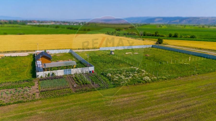 Teren Construcții intravilan de 1020 mp, în Bod