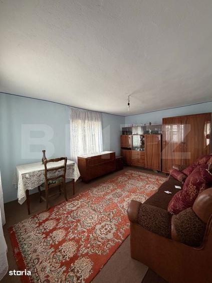 Casa pe parter, 115 mpc, 4505 mp teren, zona Bogea-Almaj - 15