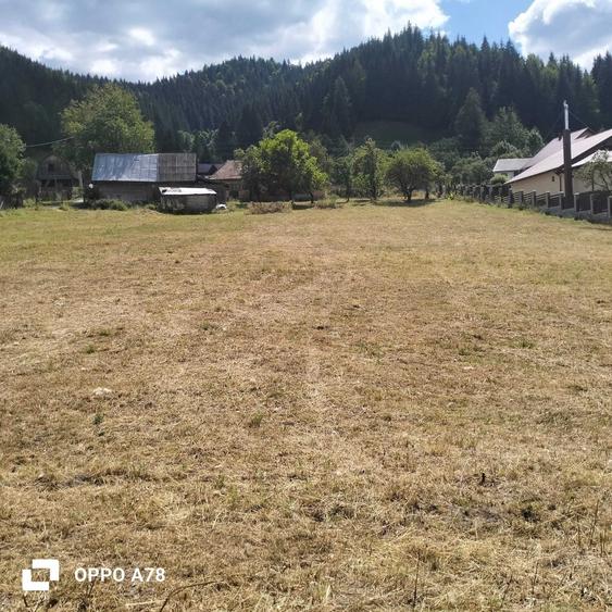 Casă cu 3 camere în Neagra