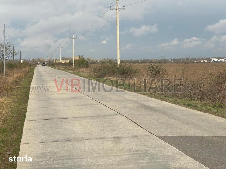 Teren de 22800 mp, în Joița