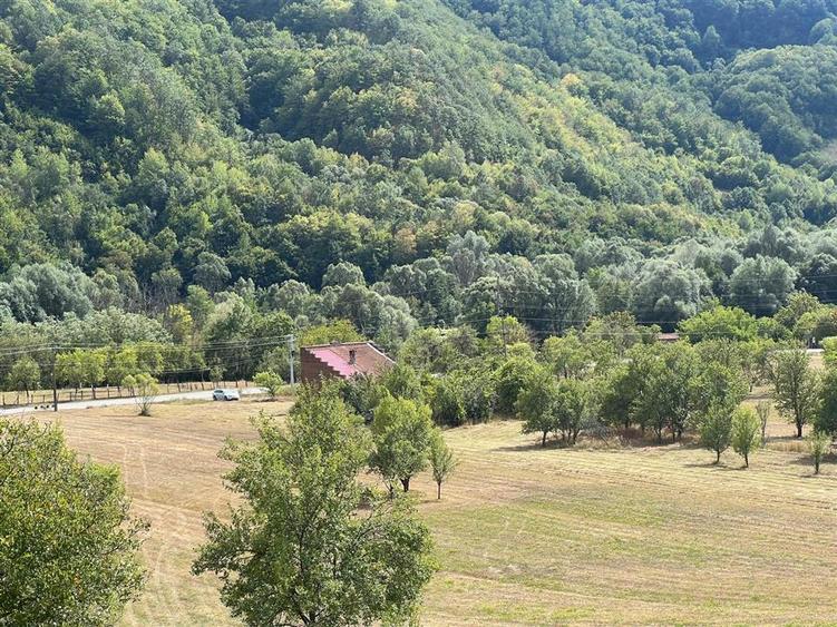 Teren Construcții intravilan de 6354 mp, în Mihăileni