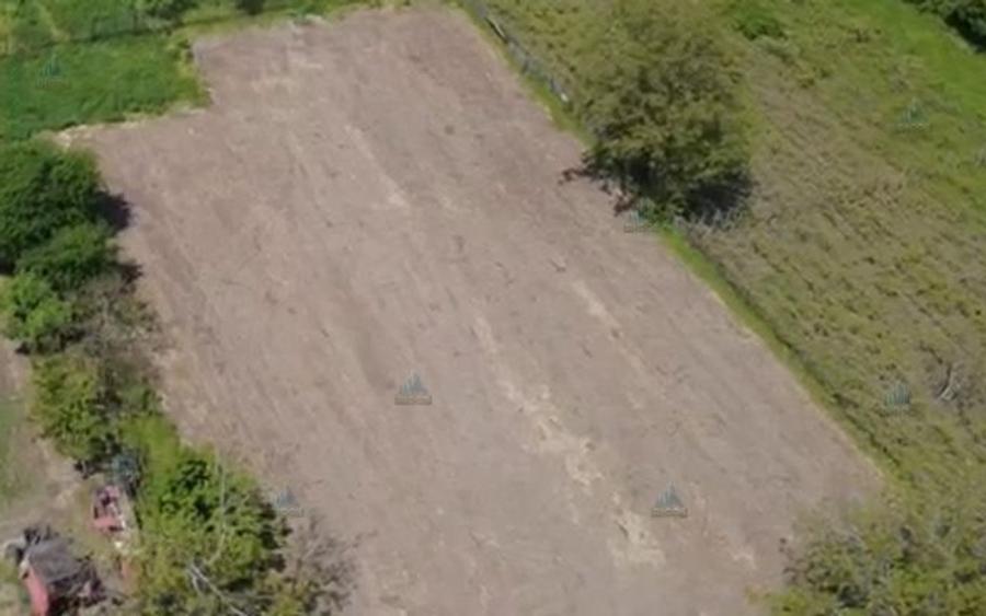 Teren Construcții intravilan de 1500 mp, în Daia
