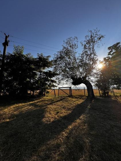 Teren de 1550 mp, în Galda de Jos