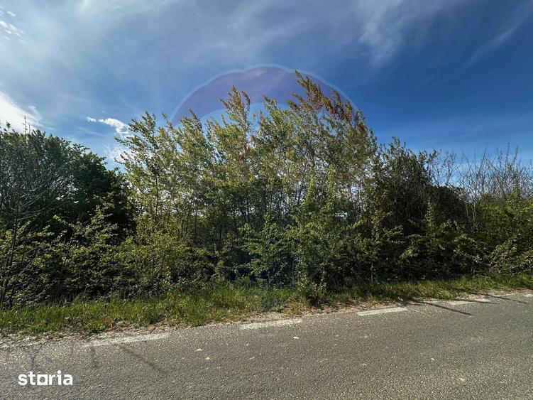 Teren de 1071 mp, în Tăuții-Măgherăuș