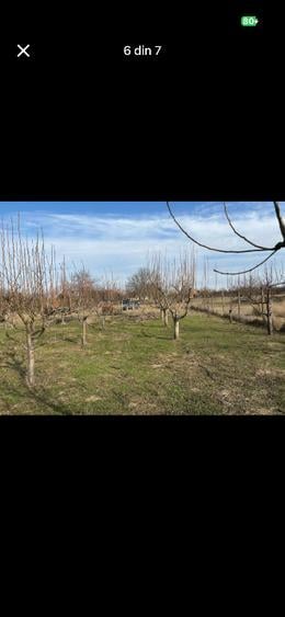 Teren Construcții intravilan de 3021 mp, în Hitiaș